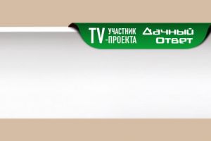 Потолочный плинтус Decomaster A202 из дюрополимера